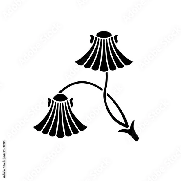 Fototapeta 板屋貝紋・二葉板屋貝（ふたばいたやがい）/ 二葉イタラ貝 / 二葉伊平貝（ふたばいたらがい）