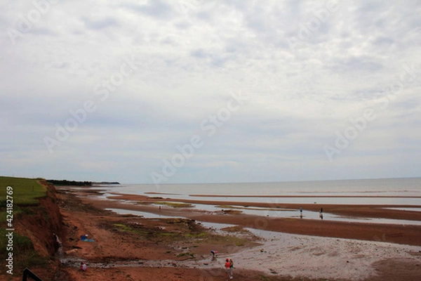 Fototapeta Rae Fort Smith Area Atlantic Ocean Low Tide