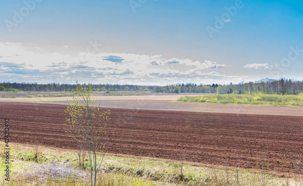 Obraz a plowed field on a sunny spring day
