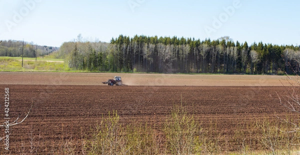 Obraz tractor plows the field on a sunny spring day