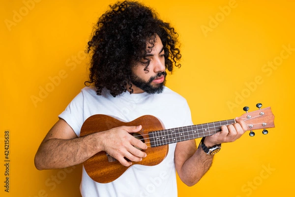 Obraz Young african american musician holds a ukulele in his hands and plays on it by playing the strings
