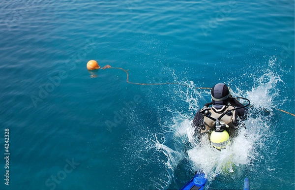Fototapeta saut plongée
