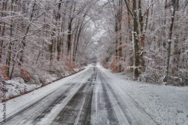 Fototapeta Frozen Road