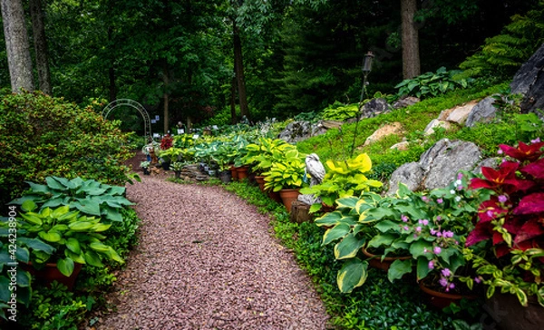 Obraz Garden path