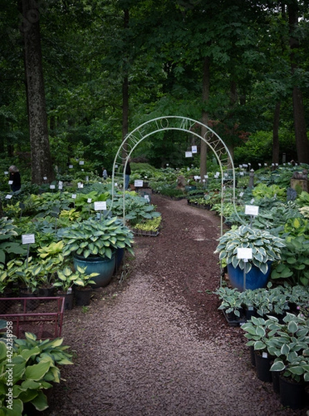 Obraz Path under the arch