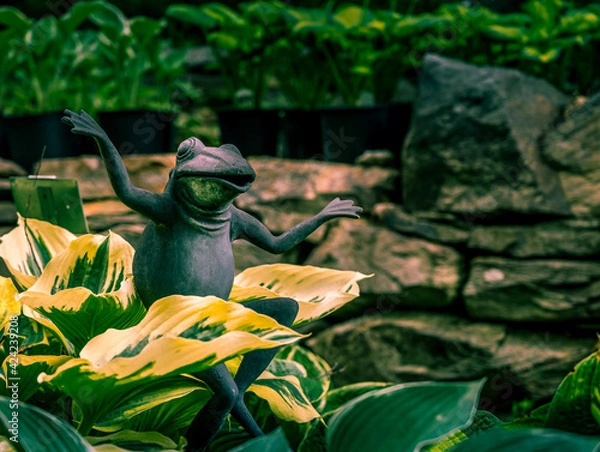 Fototapeta Happy Frong