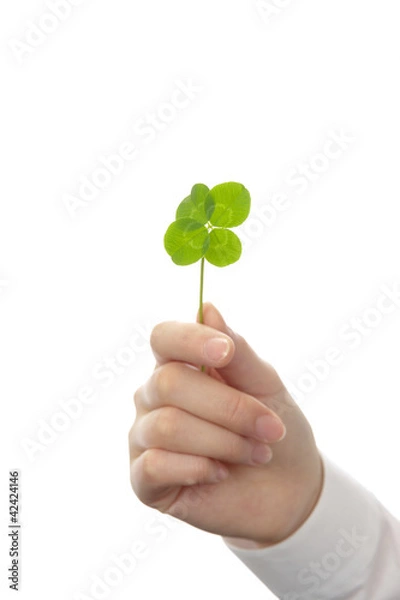 Fototapeta 四葉のクローバー