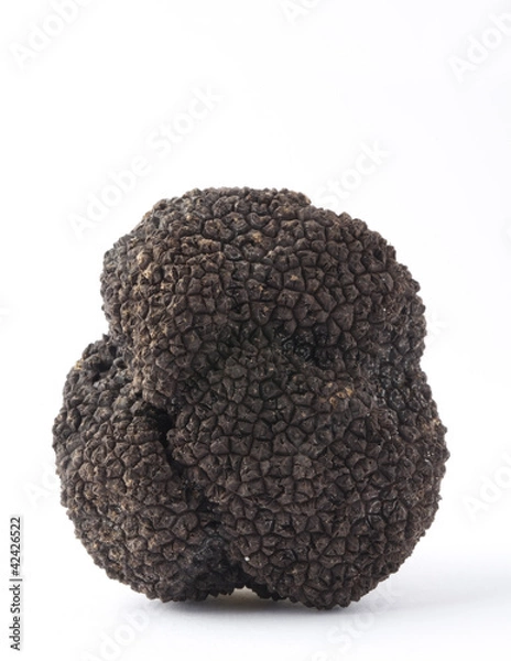Obraz Trufla