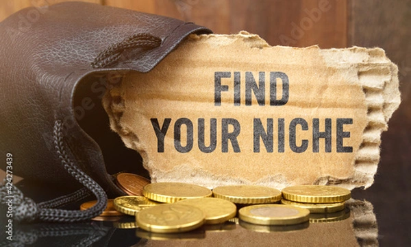 Fototapeta On the table is a bag of money from which sticks out cardboard with the inscription - FIND YOUR NICHE