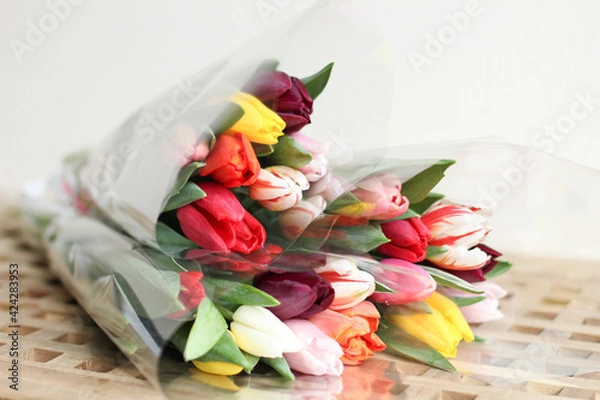 Fototapeta A bunch flowers of fresh multicolor tulips. Beautiful tulips in a bud with water drops. Selective focus