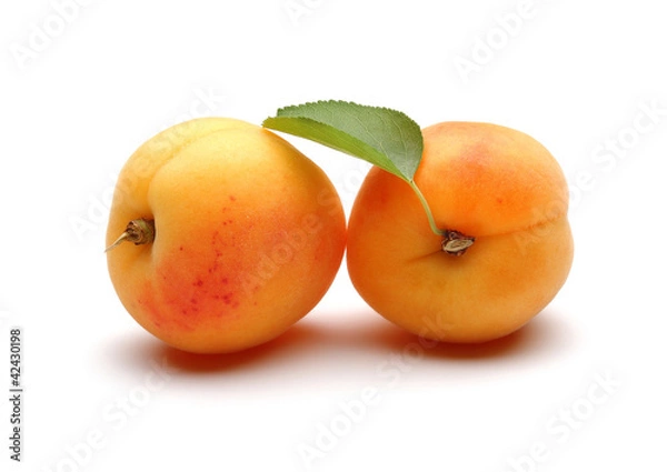 Fototapeta Fresh apricot