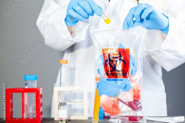 Fototapeta A woman researcher is holding a clear plastic bag with biohazard logo printed on. The bag contains, potentially dangerous biological specimens. Scientists discard these waste in these labelled bags.