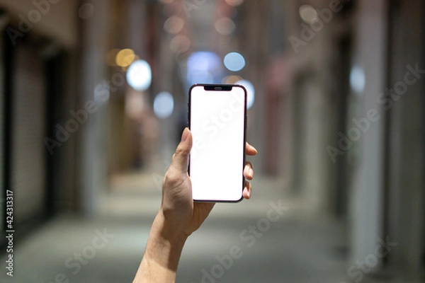 Obraz 道の上でスマートフォンを開く人