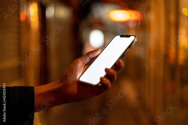 Obraz 道の上でスマートフォンを開く人