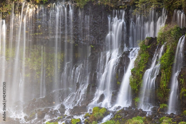 Fototapeta シルクのような白糸の滝の優雅な流れ