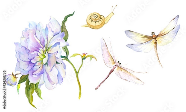 Obraz Flowers watercolor illustration. Manual composition.Design for cover, fabric, textile, wrapping paper .