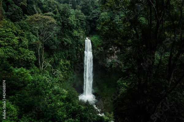 Obraz waterfall in the forest