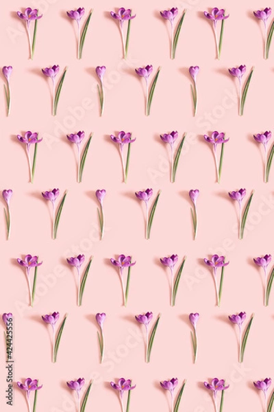 Fototapeta Pattern from crocus flowers
