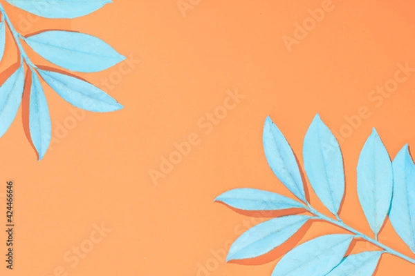 Fototapeta Minimal colorful tropical leaf flat lay idea. Exotic bright pastel blue leaves on vibrant orange background. Retro summer background concept with copy space.