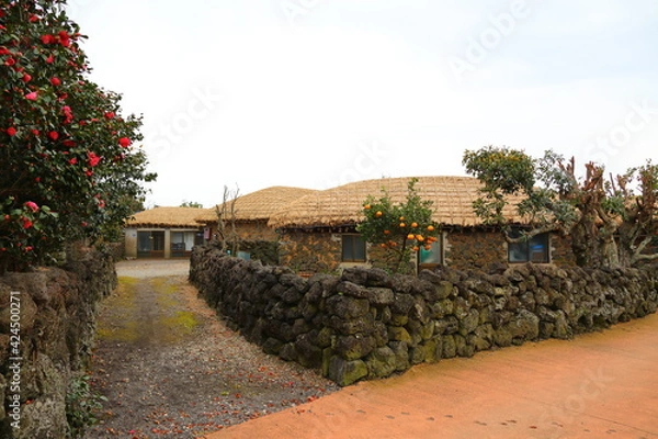 Obraz 제주 성읍민속마을의 아름다운 봄 풍경이다.