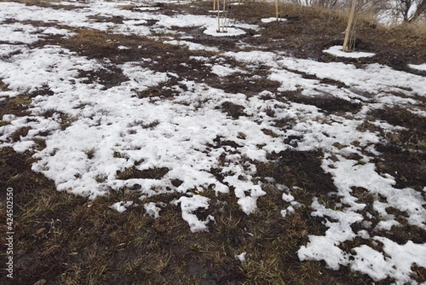 Fototapeta Countryside in early spring. Large plowed land or field with melting snow and thawed patches. Thawed patches. Nature wakes up.