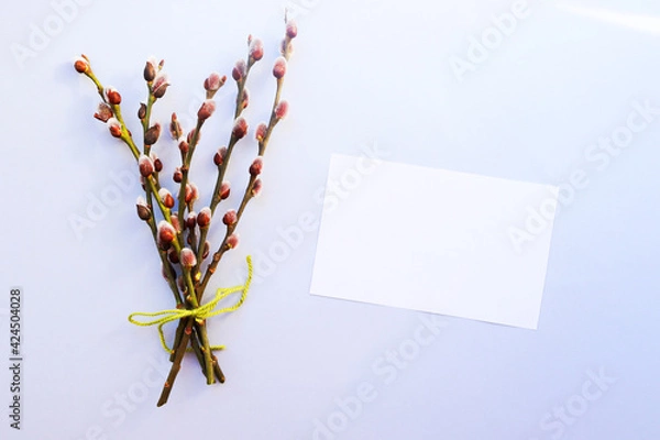 Obraz flowers on white background
