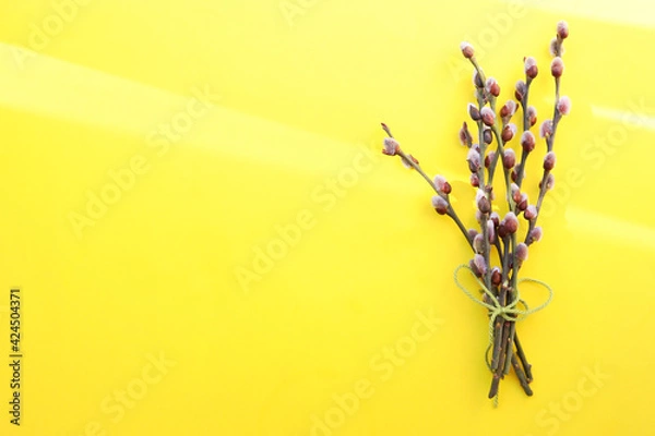 Obraz bunch of  willow