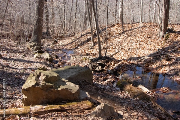 Obraz Watchung Reservation New jersey