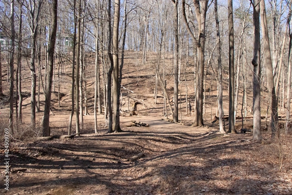 Obraz Watchung Reservation New jersey