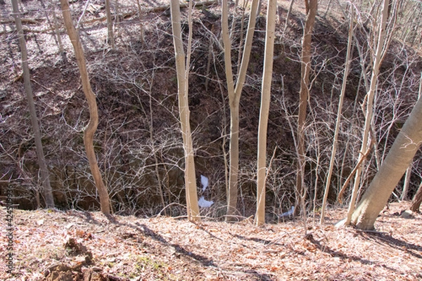 Obraz Watchung Reservation New jersey