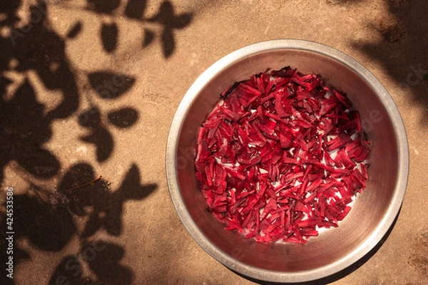 Fototapeta Chopped beet (Beetroot) vegetables in a bowl with Shade of the leaves in natural light.