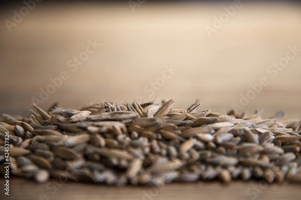 Obraz Close up of winter rye and oat seeds on wooden table