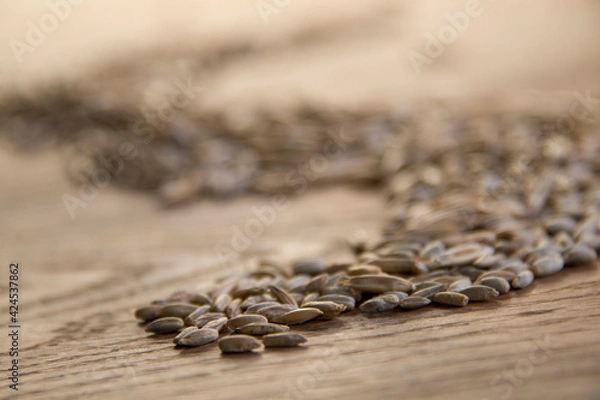 Obraz Close up of winter rye and oat seeds on wooden table