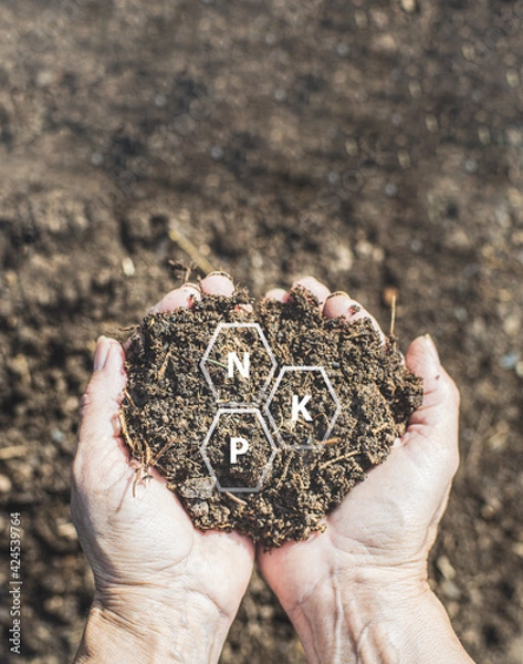 Fototapeta Fresh compost soil in two hands with symbols of the most important nutrients.