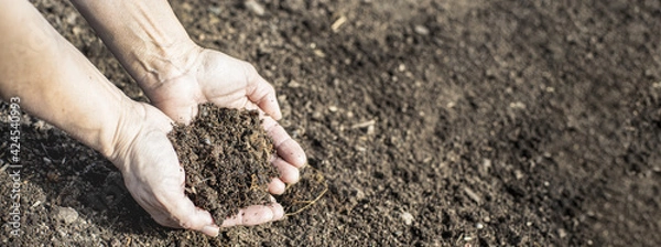 Fototapeta Fresh compost soil in two hands with space for text.  Organic farming.