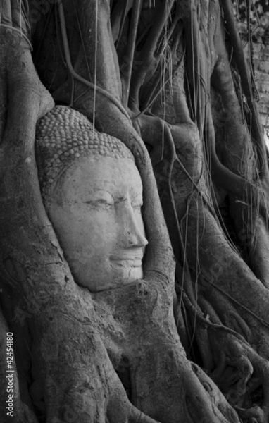 Obraz Wat Mahathat Buddha head