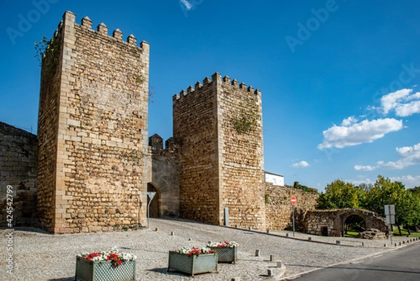 Obraz Gate in the old walls, in the historic town of Miranda do Douro, Portugal