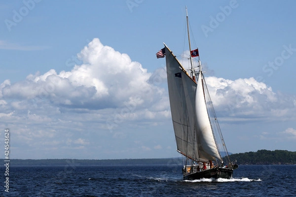 Obraz a schooner under sail