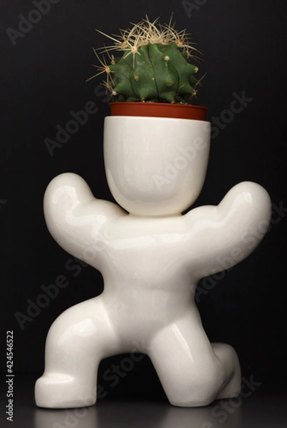 Obraz The flower pot.