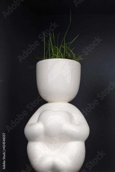 Obraz The flower pot.