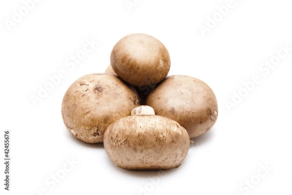 Fototapeta Champignons