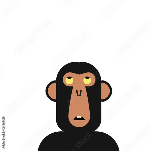 Fototapeta Curios monkey looks up. He has an idea.
