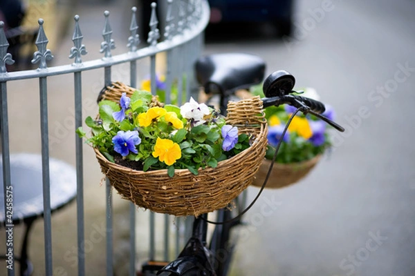 Obraz bike with flowers