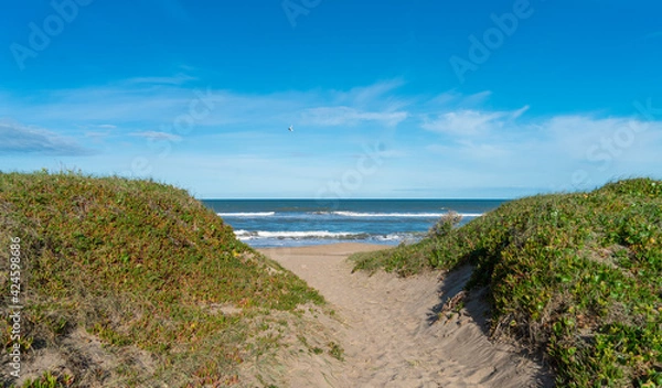 Obraz path to the beach