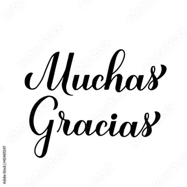 Fototapeta Thank you very much calligraphy hand lettering in Spanish language isolated on white background. Vector template for wedding thank you card, tag, banner, poster, label, sticker etc