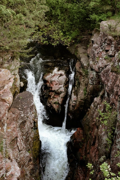 Obraz waterfall in the forest