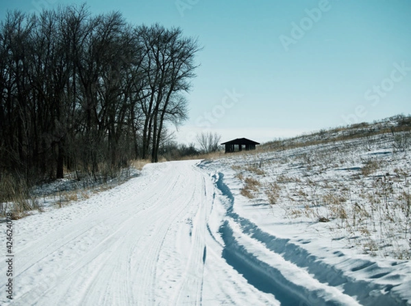 Obraz road in winter
