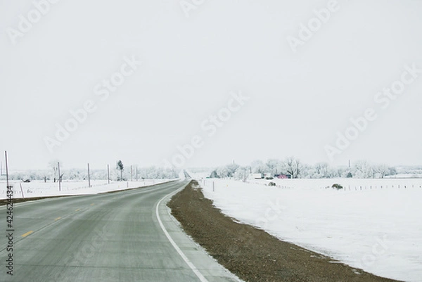 Obraz road in winter