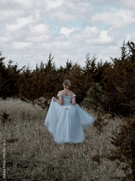 Obraz bride in a dress