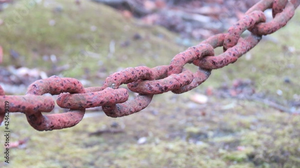 Fototapeta 錆びたくさり
